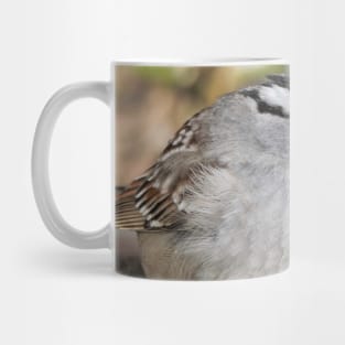 White-Crowned Sparrow at the Park Mug